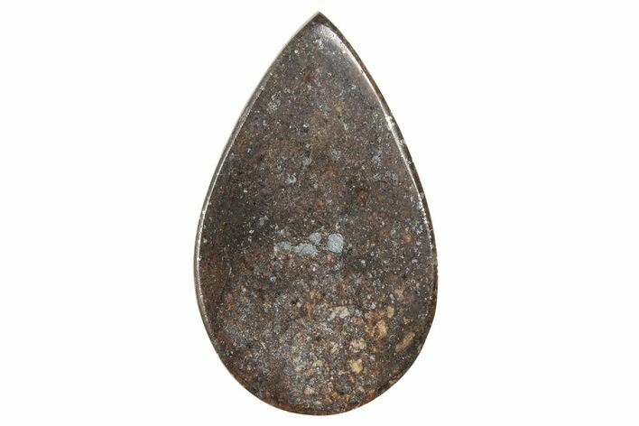 Stony Chondrite Cabochon ( g) - Meteorite #238212